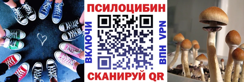 Псилоцибиновые грибы Psilocybine cubensis  Новоаннинский 